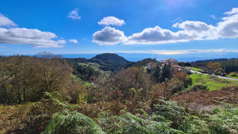 Camacha: Levada Trail e-Bike Guided Tour - Key highlights you’ll remember