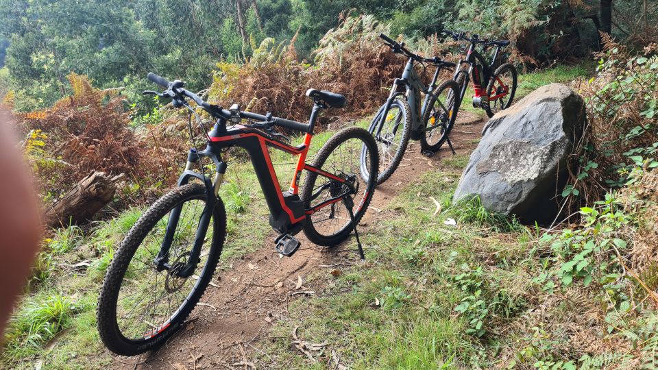 Camacha: Levada Trail e-Bike Guided Tour - Why this Camacha levada e-bike feels more like Madeira than a sightseeing loop