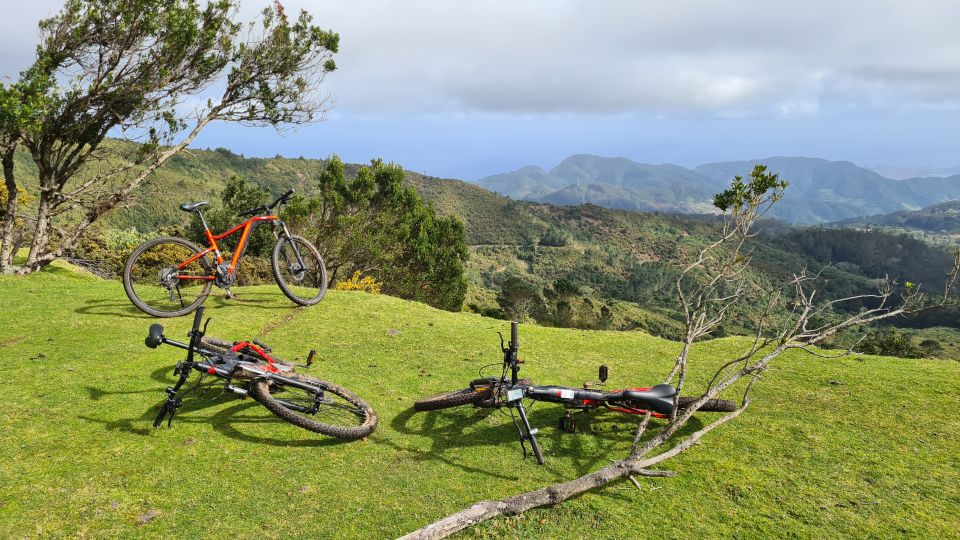 Camacha: Levada Trail e-Bike Guided Tour - The UNESCO laurel forest section: what it means for your senses