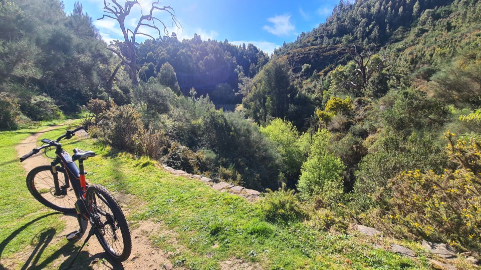 Camacha: Levada Trail e-Bike Guided Tour - Water mill break and the funny-shaped tree: rest without killing momentum