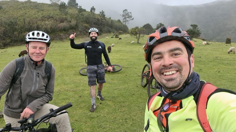 Camacha: Levada Trail e-Bike Guided Tour - Descent back into the levada: oaks, speed control, and a return to the channel