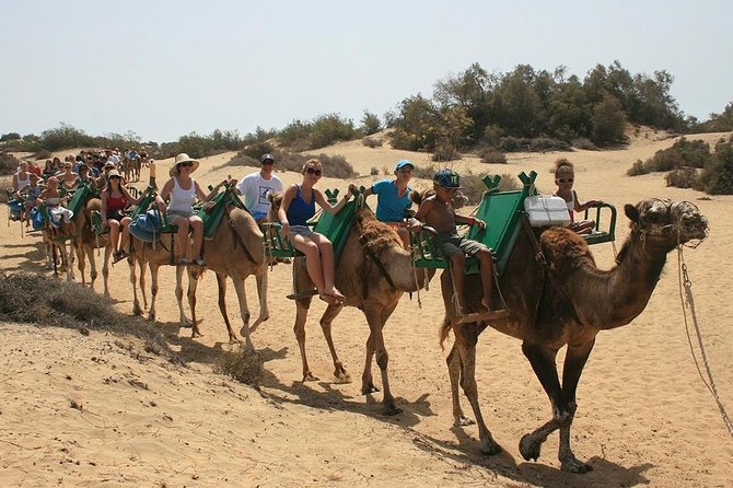 Camel Riding in Maspalomas Dunes - Entering the Maspalomas Dunes Reserve on Camelback