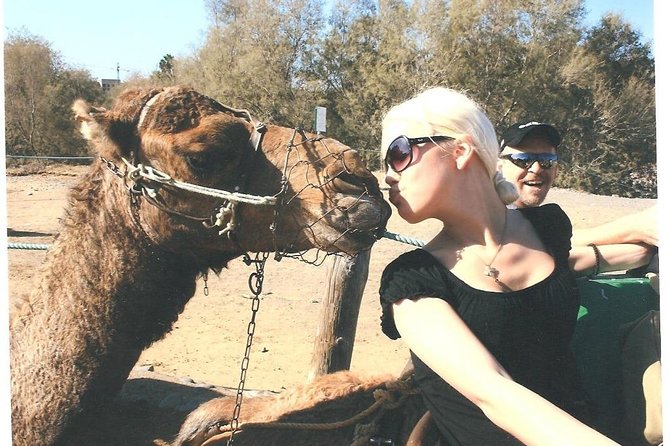Camel Safari through the Dunes of Maspalomas - Key Points Before You Go
