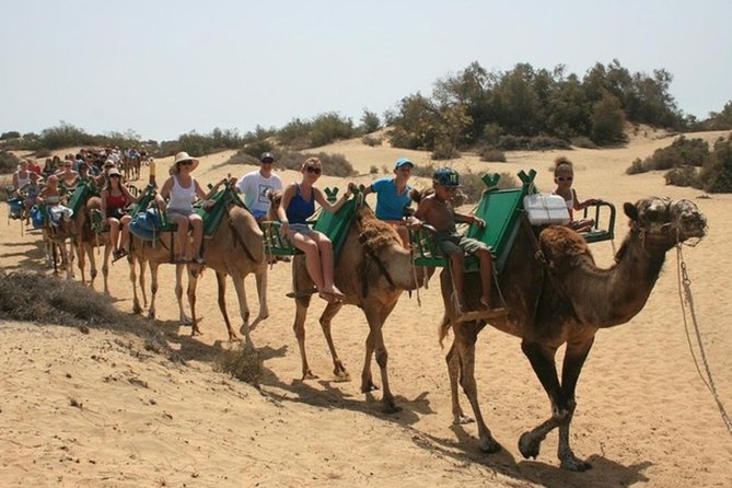 Camel Safari through the Dunes of Maspalomas - Camel Safari Through Maspalomas Dunes: What You’re Really Buying
