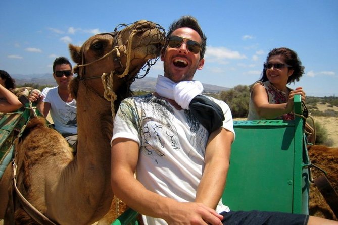 Camel Safari through the Dunes of Maspalomas - The 30-Minute Camel Ride: What Happens Once You’re Seated