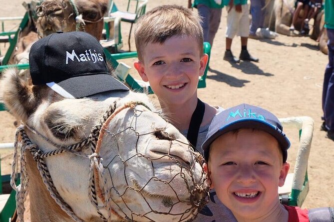 Camel Safari through the Dunes of Maspalomas - Price and Value: Is $21.63 a Good Deal?