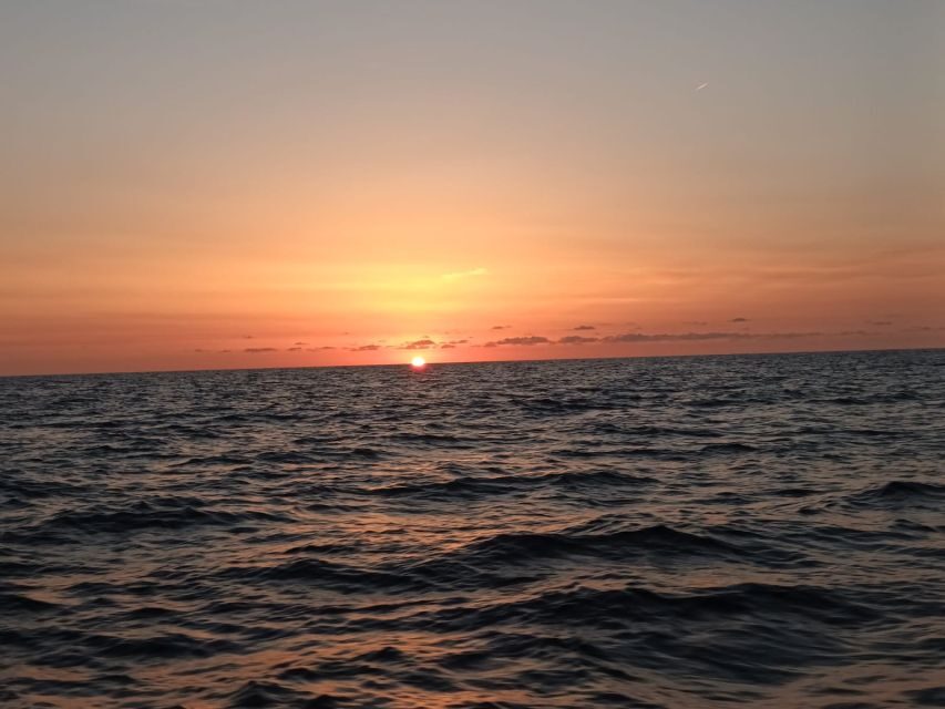 Can Picafort: Dolphin Watching Boat Tour with Swimming - Should you book Can Picafort dolphin watching with swimming?