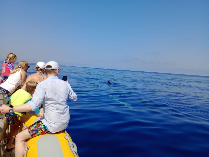 Can Picafort: Dolphin Watching Boat Tour with Swimming - Swimming and snorkeling: how to plan for real sea conditions