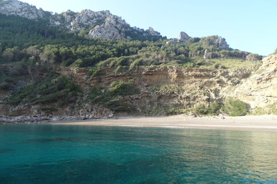 Can Picafort: Dolphin Watching Boat Tour with Swimming - Who this tour is best for