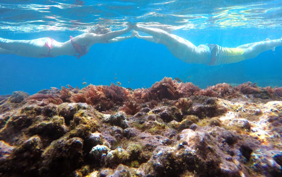 Caniço, Madeira: Marine Reserve Kayak & Snorkelling Tour - Key highlights to look forward to