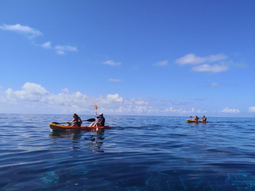 Caniço, Madeira: Marine Reserve Kayak & Snorkelling Tour - Gear, safety, and what you should bring (this part saves your trip)