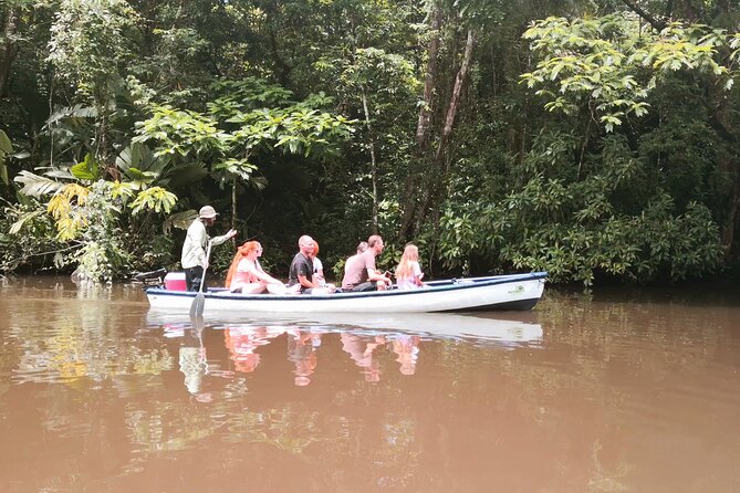 Canoe tour dentro del Parque - Cruising the canals inside the park: the wildlife moments that keep coming