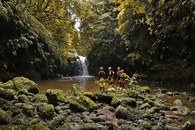 Canyoning Adventure in Ribeira da Salga (Sao Miguel - Azores) - Jumps (2–6 m) and rappels (4–20 m): how your comfort level stays in charge