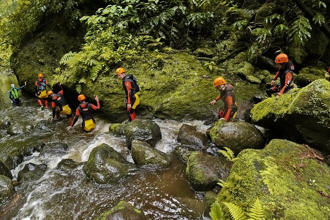 Canyoning Adventure in Ribeira da Salga (Sao Miguel - Azores) - Price and value: what $162.20 is really buying