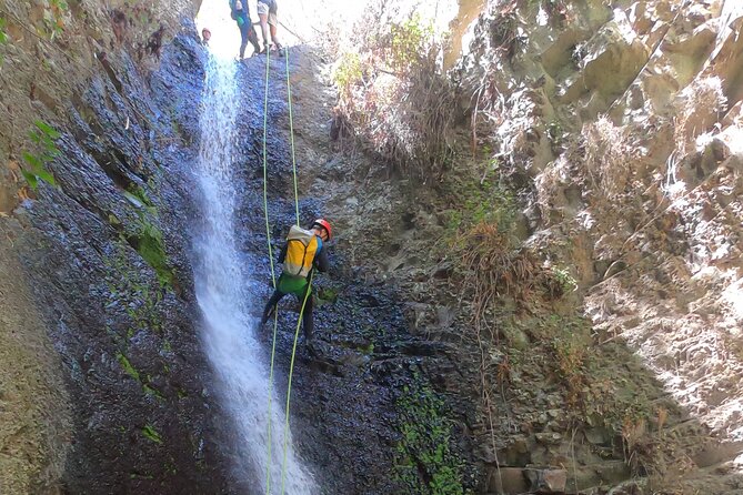 Canyoning Experience in Gran Canaria (Cernícalos canyon) - Price, Size, and Value at $79.85