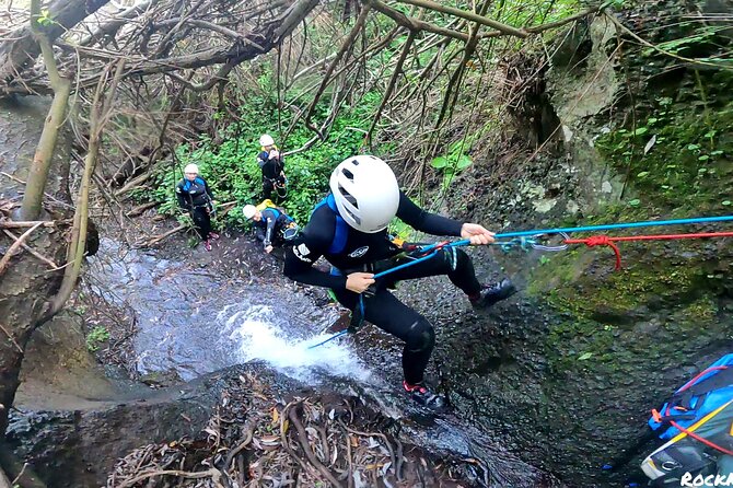 Canyoning in Gran Canaria: The Hidden Waterfalls and Magic Pools - Stop 1: rock pools, slides, and jungle-like wading