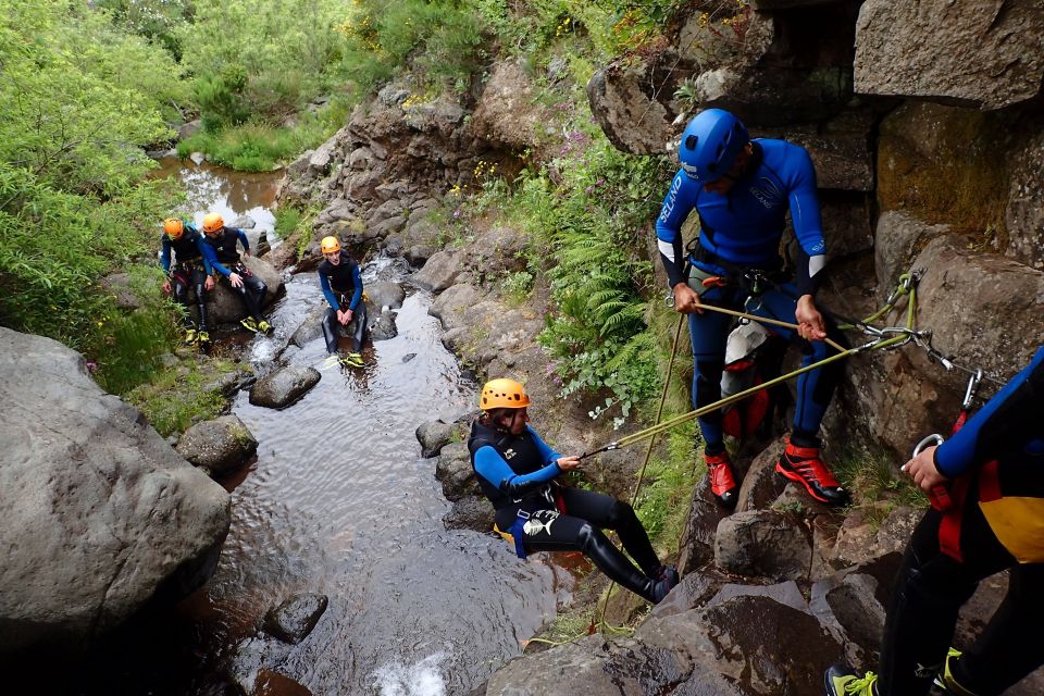 Canyoning in Madeira: Ideal for First-Timers and Families - Price and Value: Is $82 Worth It?