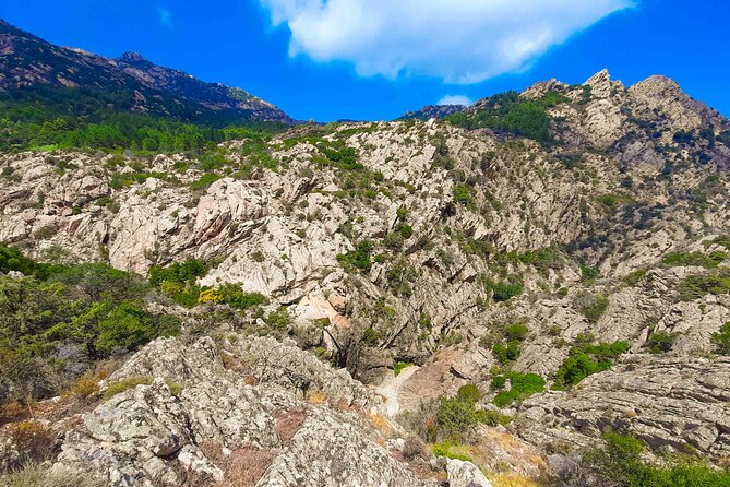 Canyoning in Rio Pitrisconi and Monte Nieddu in San Teodoro - The guide and the safety vibe you should expect