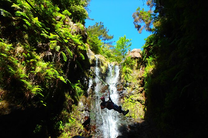 Canyoning Madeira Island - Level One - Small-group size (max 12) and what it changes day-to-day