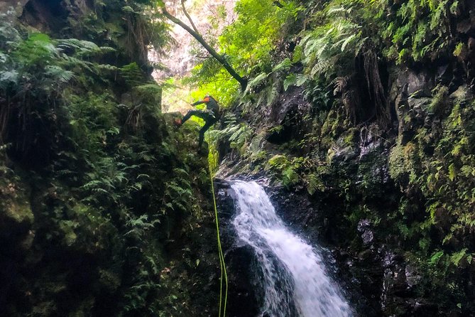 Canyoning Madeira Island - Level Two - Waterfall abseils: the part that builds confidence fast