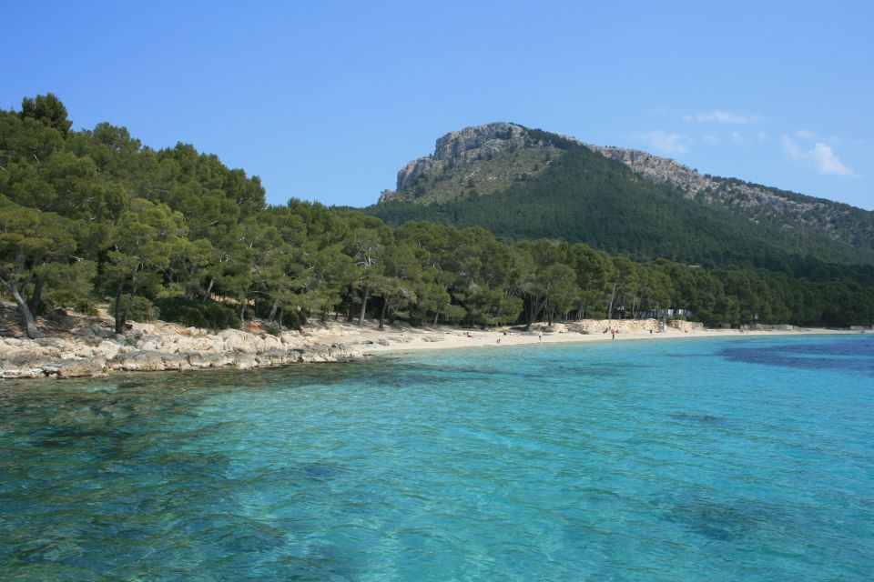 Cap de Formentor: Market, Beach, and Alcudia Tour - Port de Pollença Break: Ice Cream, Sea Air, and a Reset