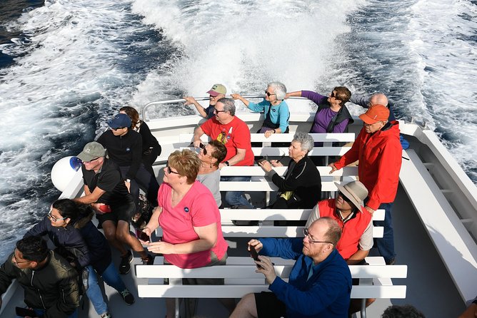 Capri Coast to Coast: Boat Tour with Optional Blue Grotto - Price and Value: Is It Worth $28.76?