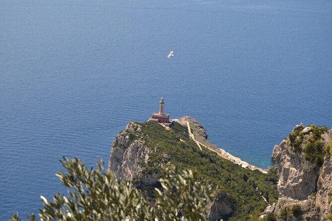 Capri Island and Blue Grotto Small Group Day Tour from Capri Port - Why this Capri small-group route works from the port