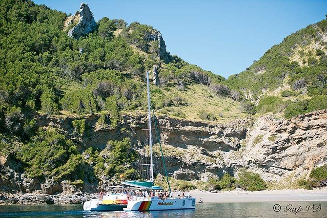 Catamaran Cruise from Port d'Alcudia with Lunch and Swim Stop - Platja Des Coll Baix: A Quick 20 Minutes to Reset