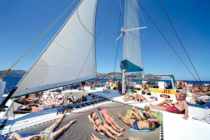 Catamaran Cruise from Port d'Alcudia with Lunch and Swim Stop - Aucanada Lighthouse and Cliffs: Short, Useful, and Photo-Friendly