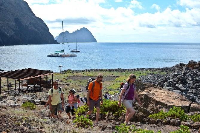 Catamaran Day Cruise to Desertas Islands from Funchal - Quick Takeaways