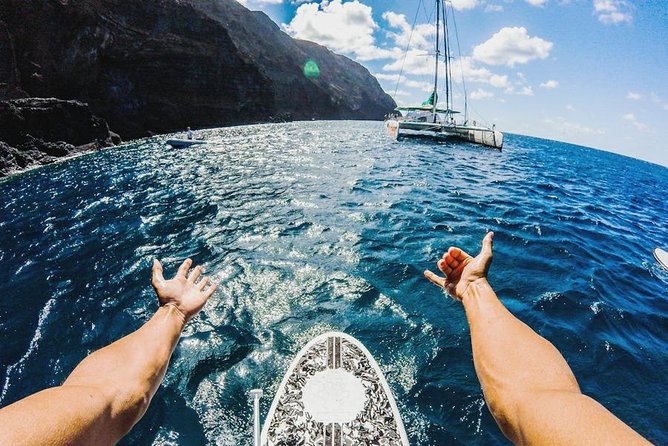Catamaran Day Cruise to Desertas Islands from Funchal - A 9-Hour Catamaran Day to the Desertas: How the Timing Works