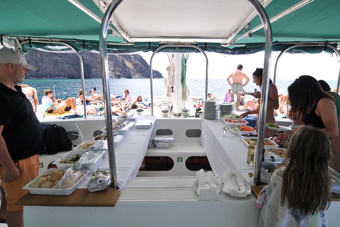 Catamaran Day Cruise to Desertas Islands from Funchal - Out to Sea from Funchal: The Wildlife-Spotting Part You Came For