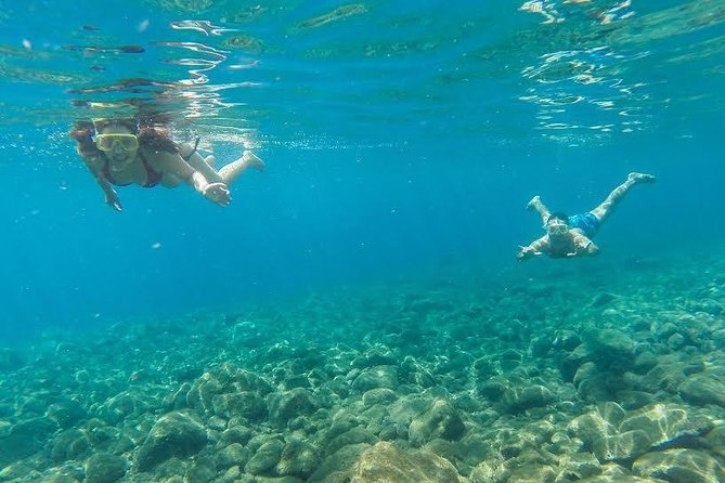 Catamaran Day Cruise to Desertas Islands from Funchal - The Islands Themselves: Virgin Beach Time and What to Expect Onshore