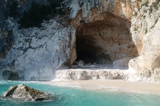 Catamaran Day Trip to the Cale di Orosei with Lunch - Grotta del Fico (Optional): How to Decide on the Spot