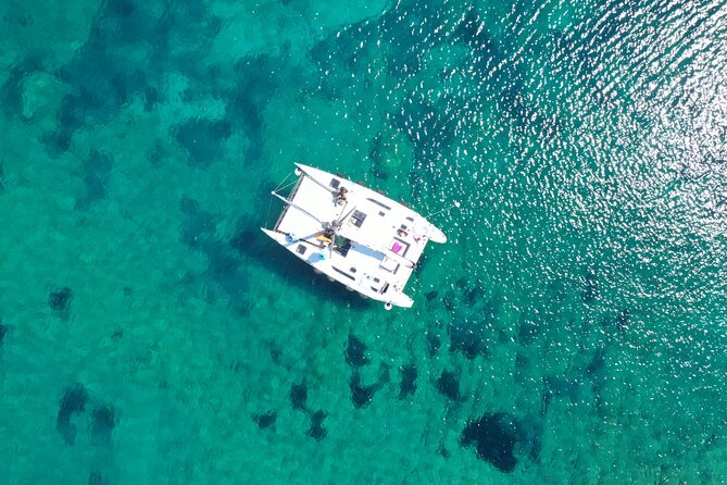Catamaran excursions in the Asinara island National park - How the boat day works: coves, buoys, and guided snorkeling