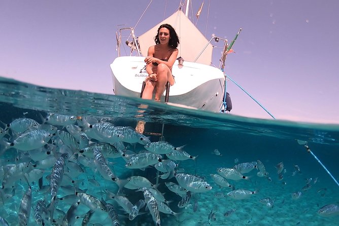 Catamaran excursions in the Asinara island National park - Who this Asinara catamaran day is best for