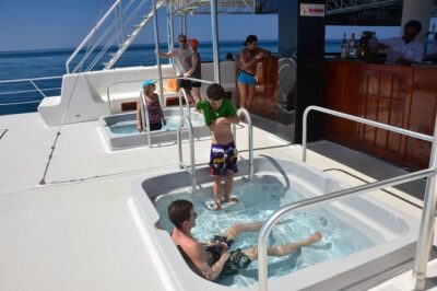 Catamaran Ocean King Manuel Antonio - Wildlife watching off Manuel Antonio: dolphins, sea turtles, and real ocean scenery