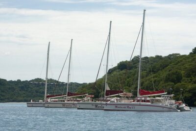 Catamaran Sailing & Snorkeling from Playas del Coco - Cruising the Gold Coast: wildlife spotting without the pressure