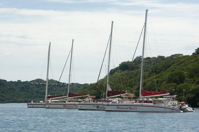 Catamaran Sailing & Snorkeling from Playas del Coco - Cruising the Gold Coast: wildlife spotting without the pressure