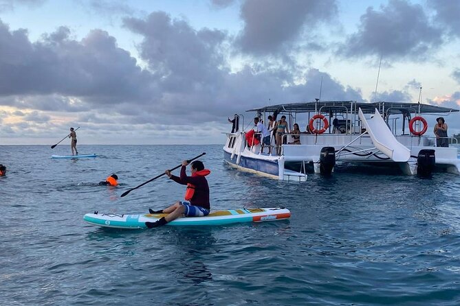 Catamaran Snorkeling at Caño Island from Drake Bay - The 7:00 AM Start and the Sea Route: Whales and Dolphins Are Seasonal