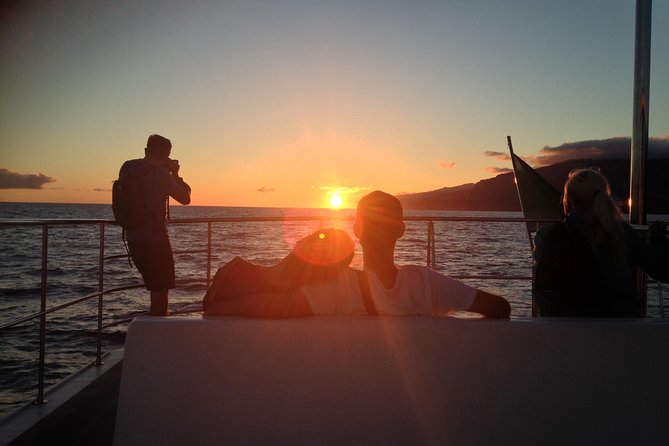 Catamaran Sunset Cruise from Funchal - Key Points You’ll Care About Most