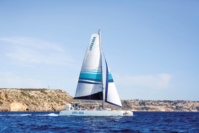 Catamaran with BBQ in the Bay of Palma - Key things that make this catamaran trip worth your time