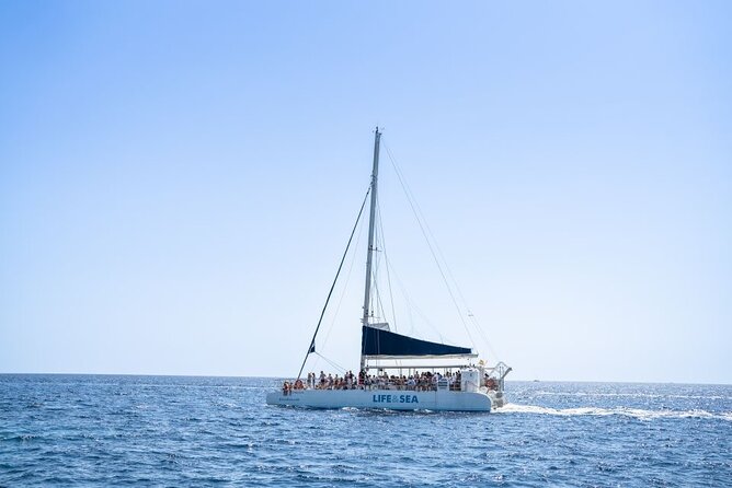 Catamaran with BBQ in the Bay of Palma - Who this trip suits best (and who should choose something else)