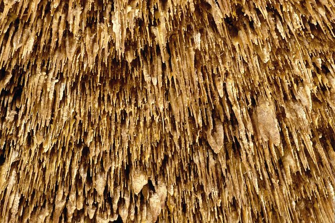 Caves of Drach Half-Day Tour with Boat Trip and Music Concert - Timing reality check: why it’s “half-day” but not “short”