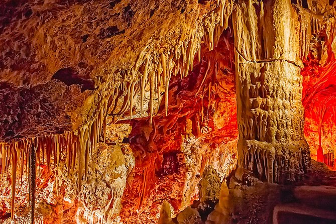 Caves of Genova Admission in Palma de Mallorca - Timing and what 20 minutes feels like on the ground