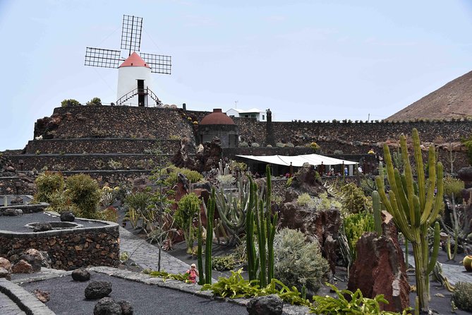 Cesar Manrique Artworks Jameos - Stop 5: Jardín de Cactus for Your Final 40 Minutes