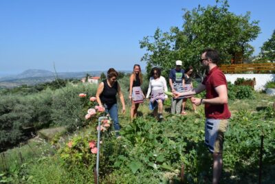Chania: Authentic Cooking Class in the White Mountains - Getting There Smoothly: Pickup and Air-Conditioned Minivan Comfort