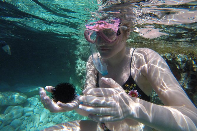 Chania: Boat Trip with Guided Snorkeling Tour & SUP - Underwater Time vs. “Too Much Waiting” (A Fair Reality Check)