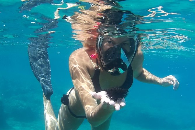 Chania: Boat Trip with Guided Snorkeling Tour & SUP - Photos, Videos, and the Action-Cam Convenience