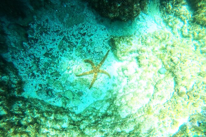 Chania Guided Snorkeling and Boat Excursion - On the Boat Between Stops: Relax, Look Around, Then Swim